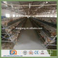 Trade Assurance 2.15m 3 Tier Laying Chicken Cage Plans